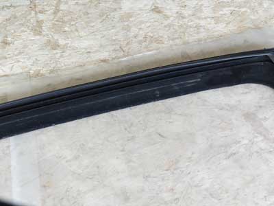 Mercedes Rear Door Window Seal, Right A2217353225 W221 07-13 S550 S Class4